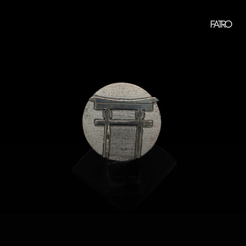 Anillo - Disco Tori